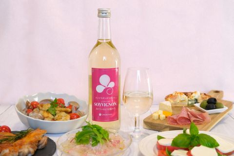 梅乃宿酒造 豆乳のお酒 SOYVIGNON（ソイヴィニヨン）