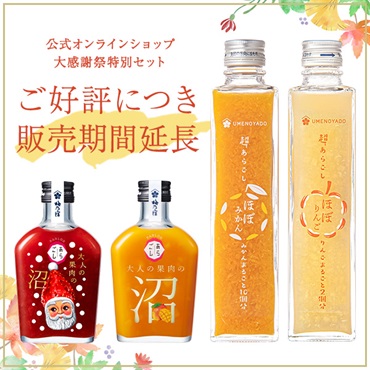 沼ほぼお試しセット(クリスマス限定ラベル)