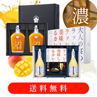 【送料無料】追いマンゴーが美味しいラッシー＆カレーセット