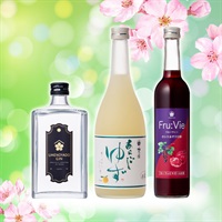 春の青空セット