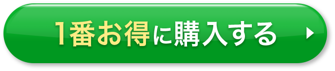 １番お得に購入する