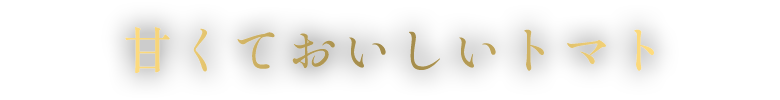 甘くておいしいトマト