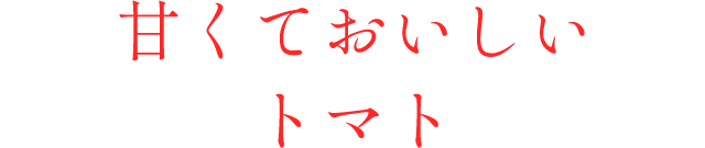 甘くておいしいトマト