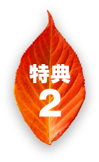 特典2