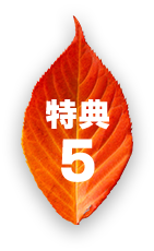 特典5